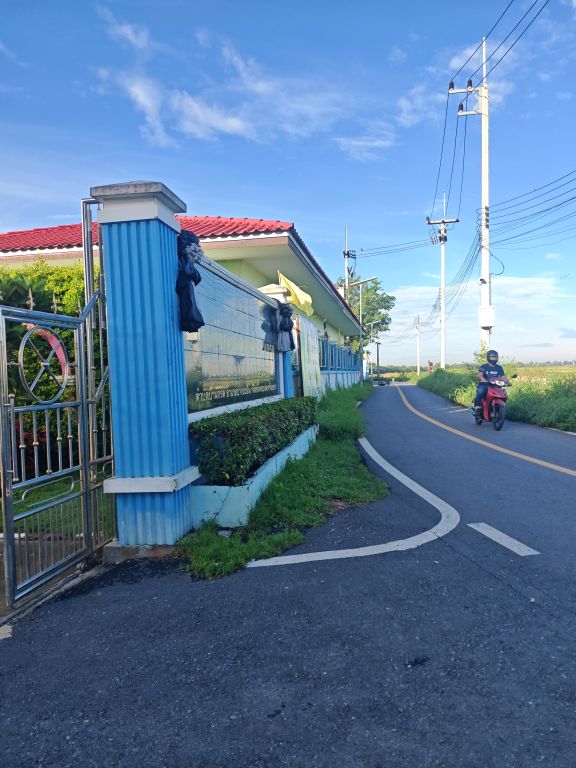 Report Image