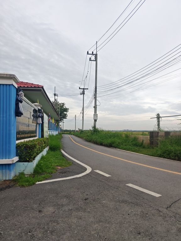 Report Image