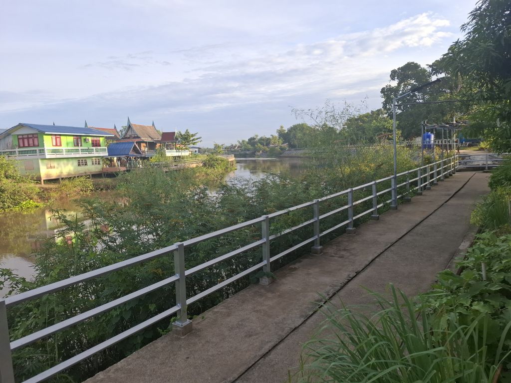 Report Image