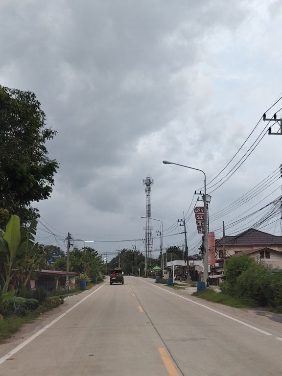 Report Image