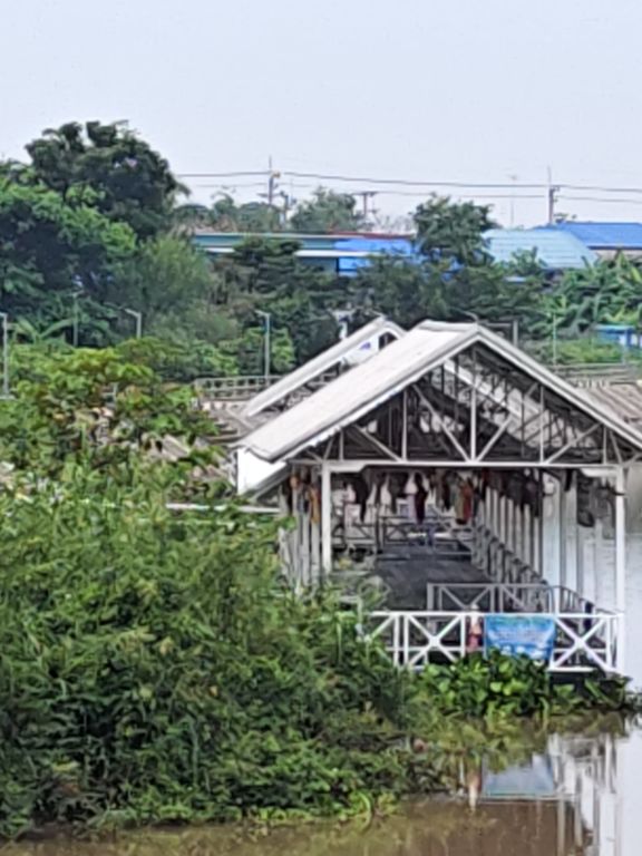 Report Image