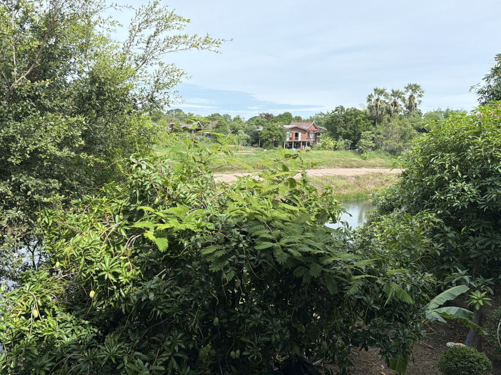 Report Image