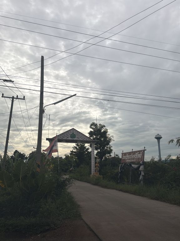 Report Image