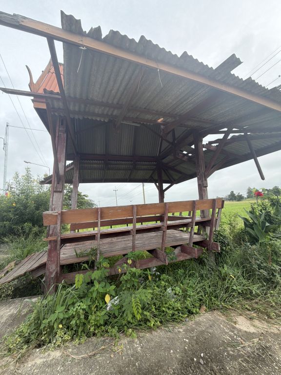 Report Image