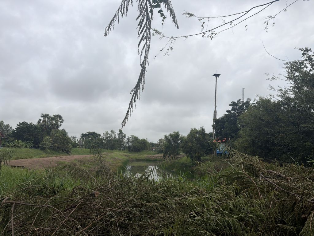 Report Image