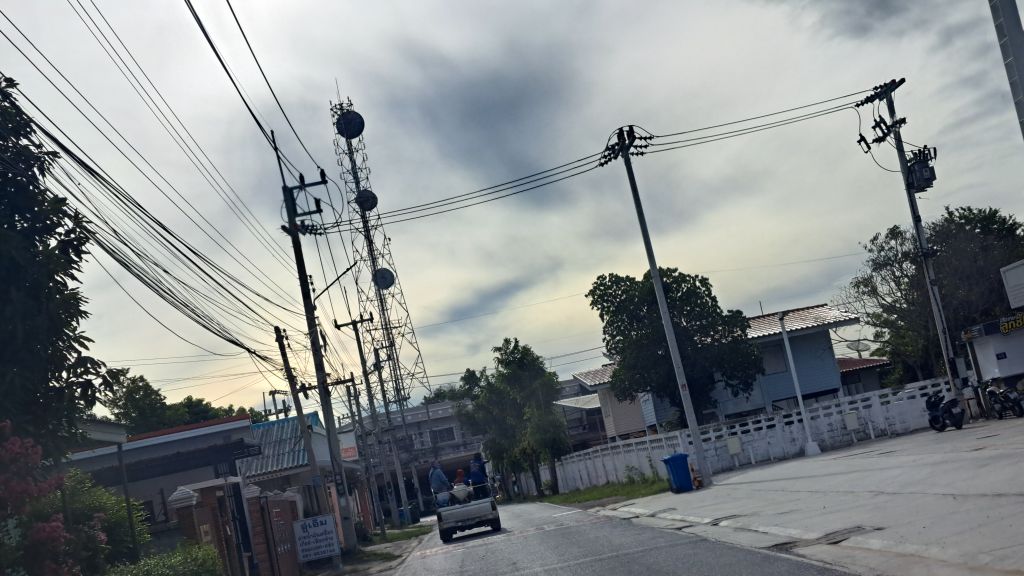 Report Image