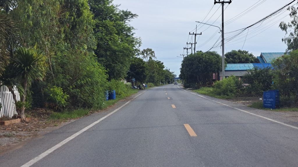 Report Image