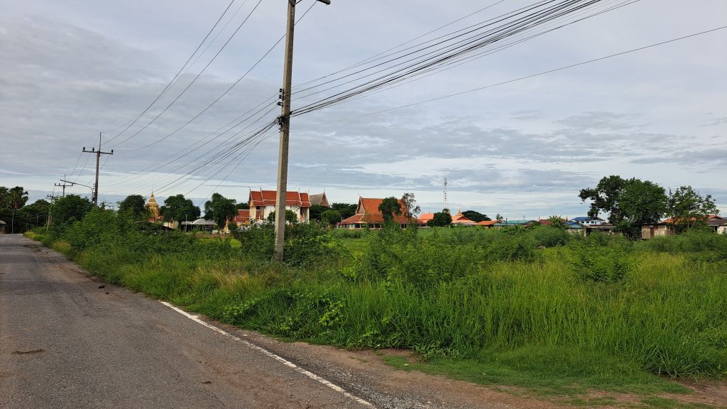 Report Image