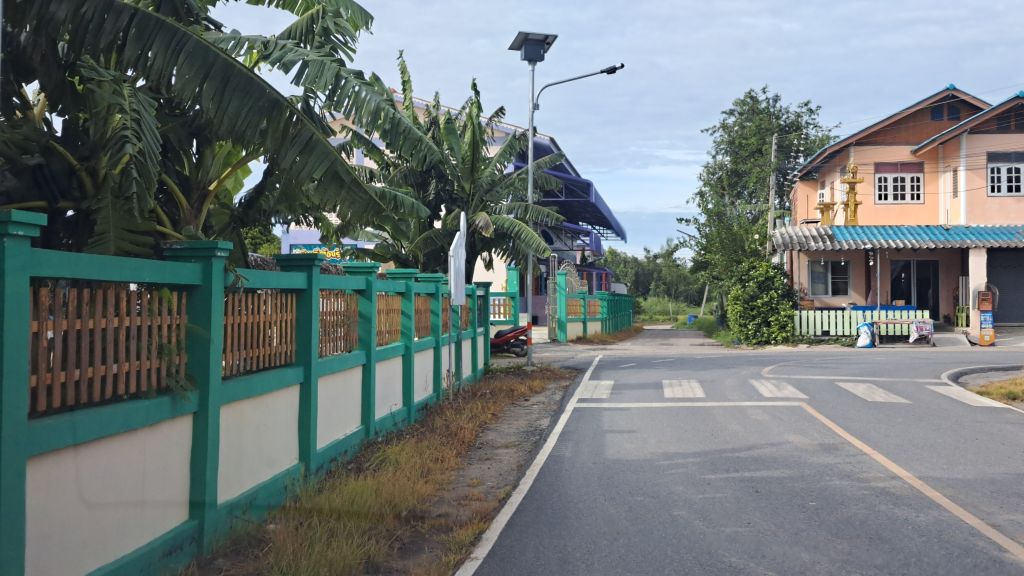 Report Image